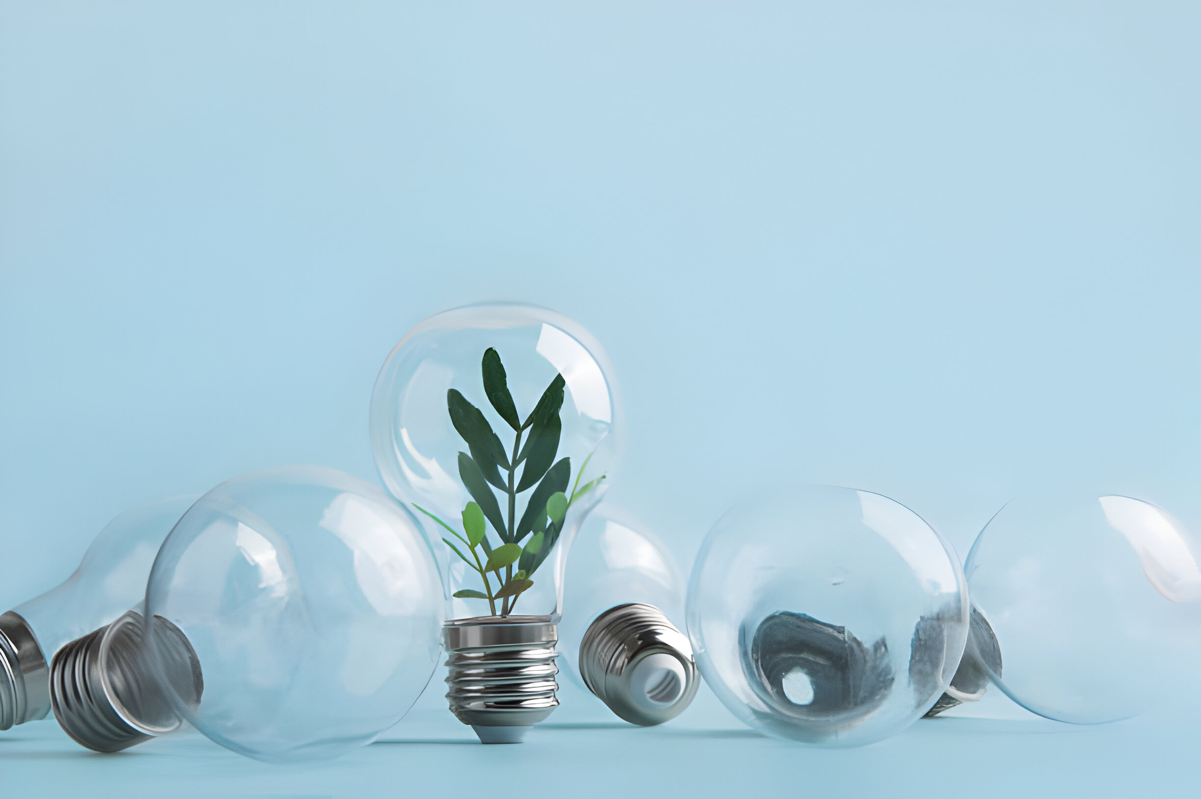 focus on personal finance