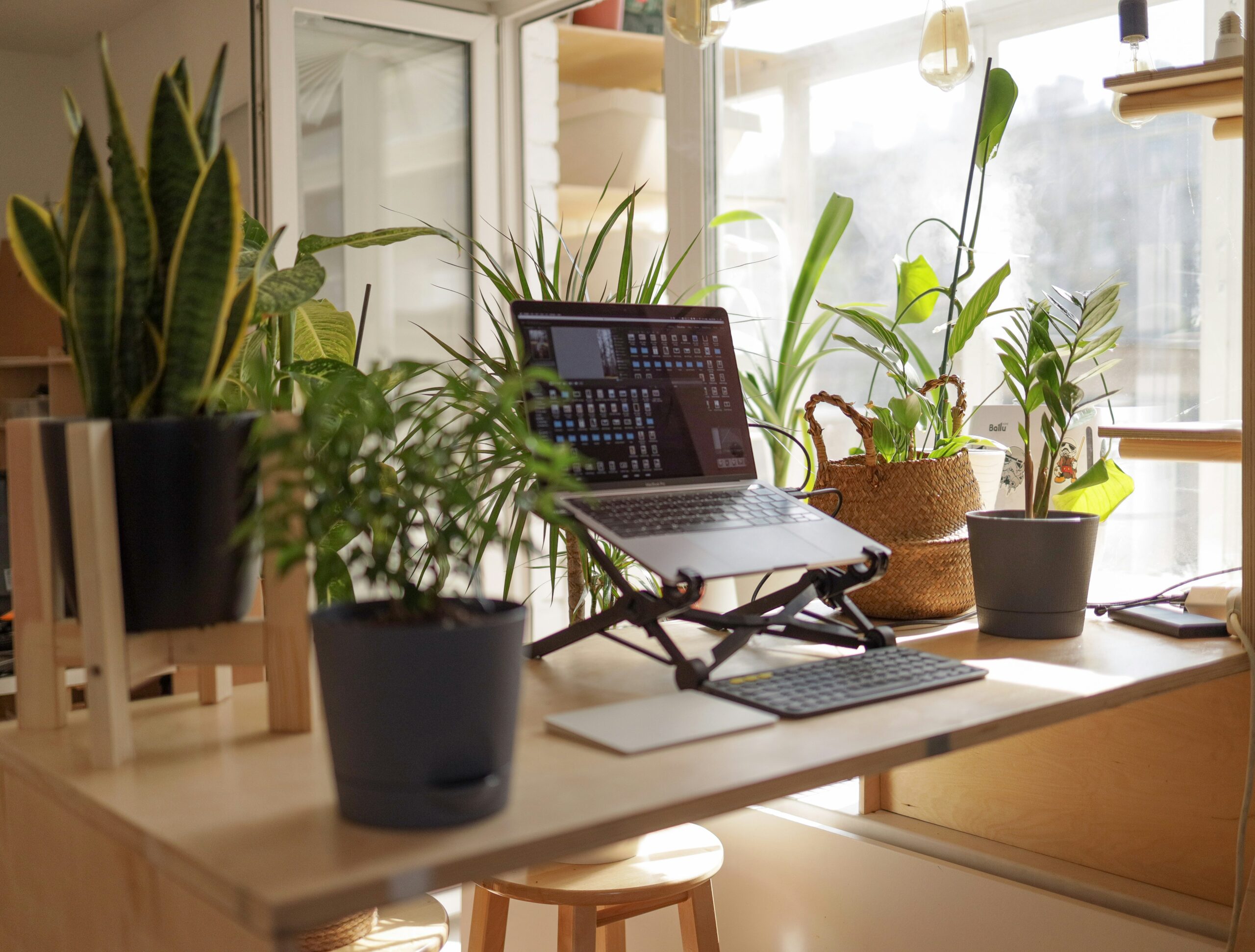 work from home