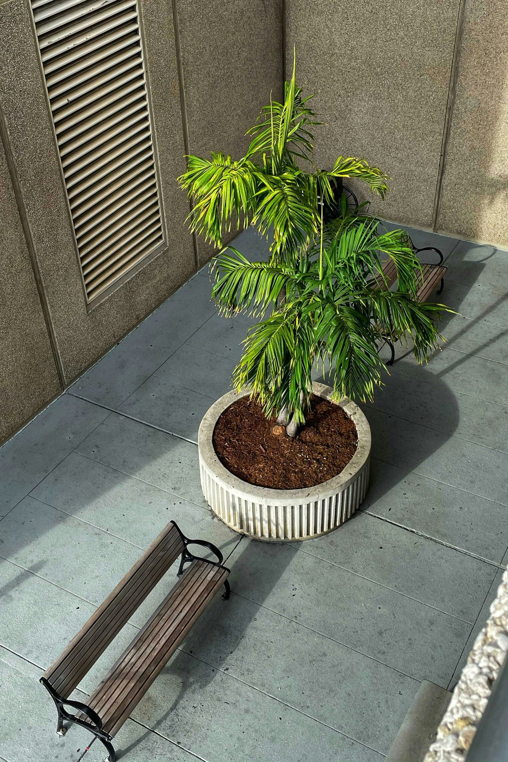 Modern-Concrete-Planters-scaled Top 5 DIY Projects for 2025 Budget-Friendly Home Upgrades