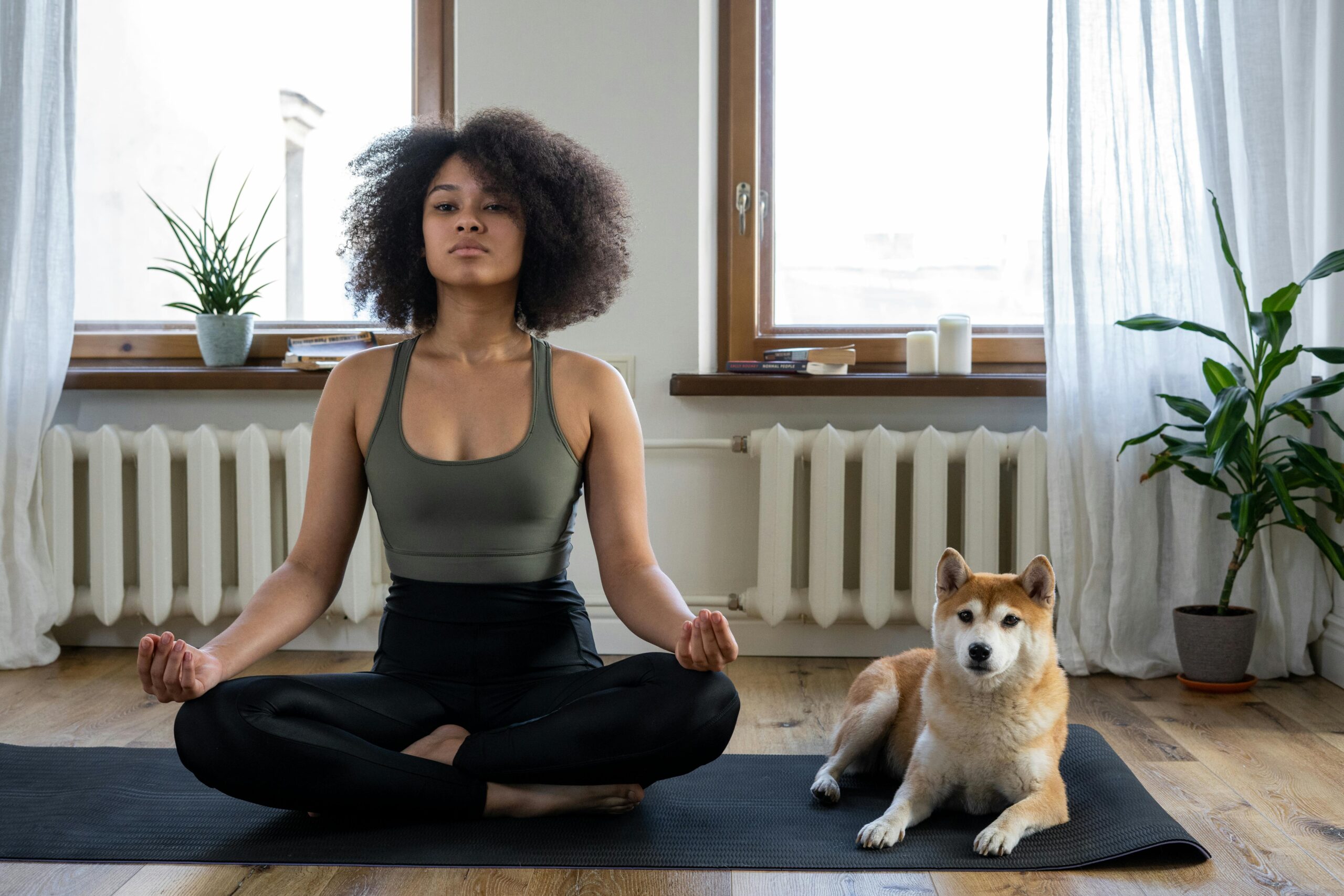 health and wellness
